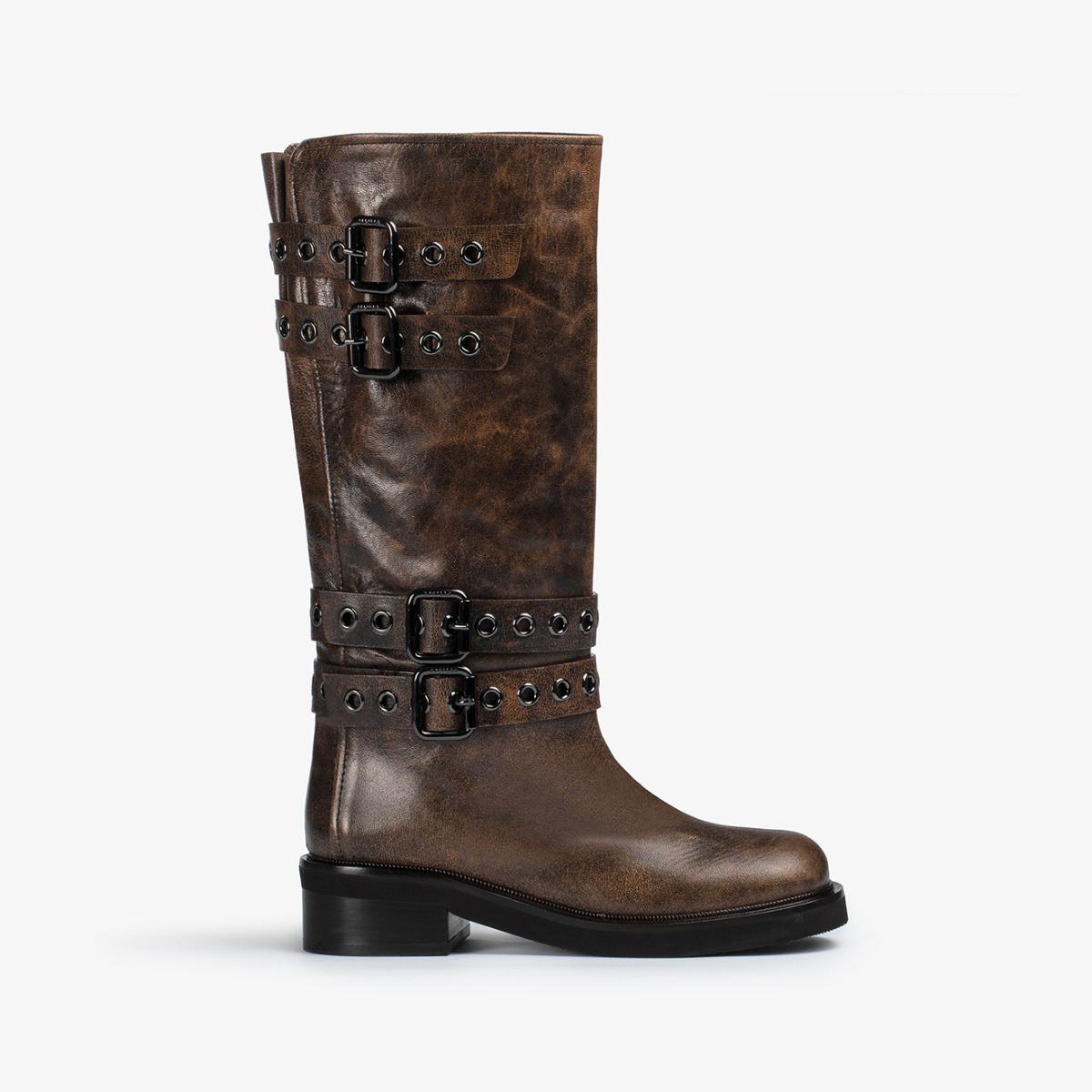 HARLEY BOOT 50 mm - Le Silla official outlet